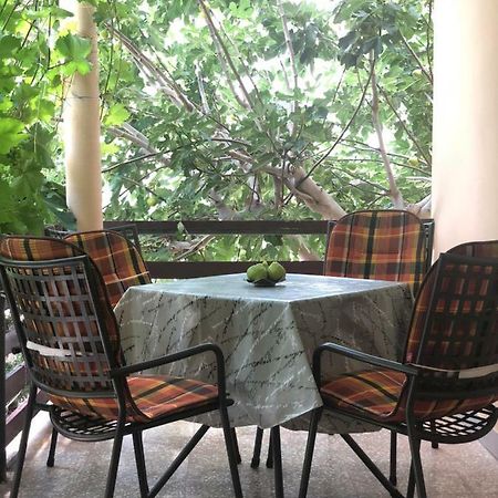 House For Holidays Kozul Ražanac المظهر الخارجي الصورة