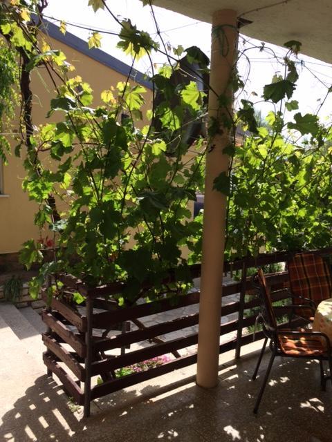 House For Holidays Kozul Ražanac المظهر الخارجي الصورة