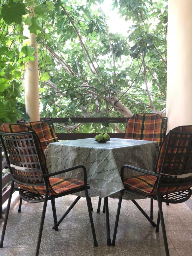 House For Holidays Kozul Ražanac المظهر الخارجي الصورة